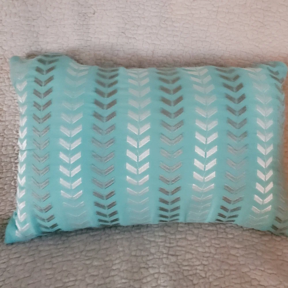 Aqua Paisley & Chevron Decorative Throw Pillow Set